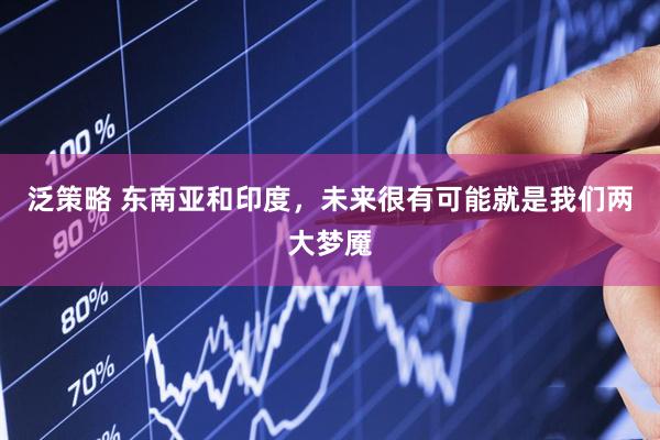 泛策略 东南亚和印度，未来很有可能就是我们两大梦魇
